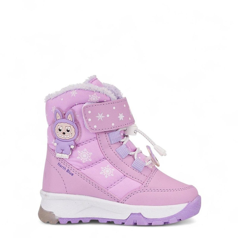 North Blue B Bot 016 Lila