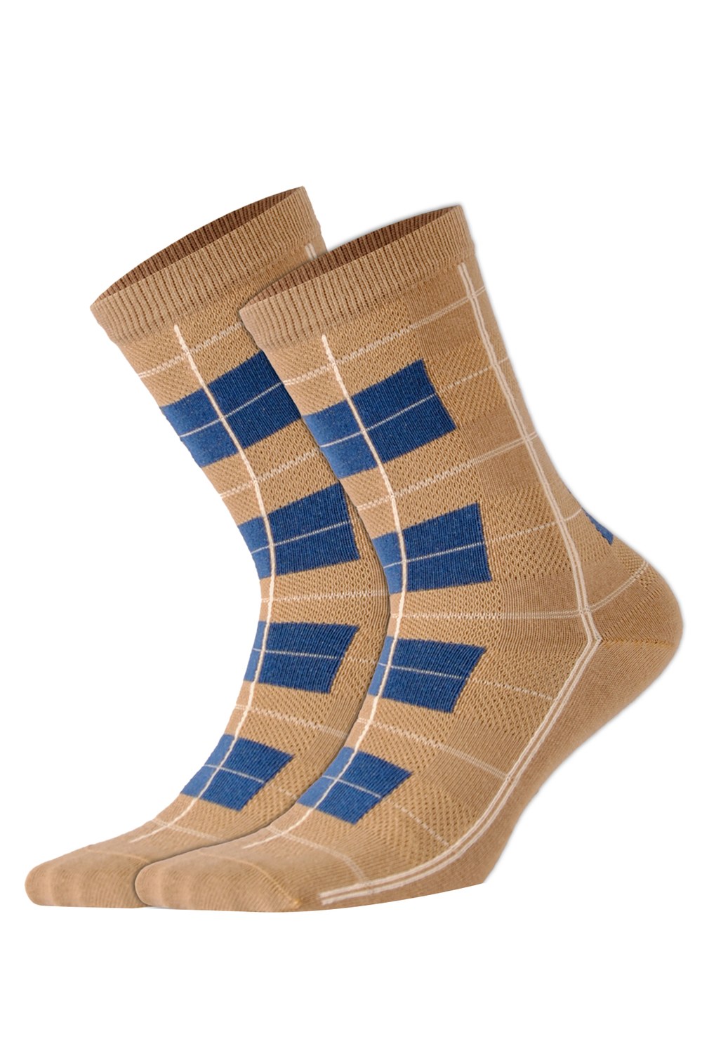 Aytuğ 41070 Cotton DES.10 Bayan Corap