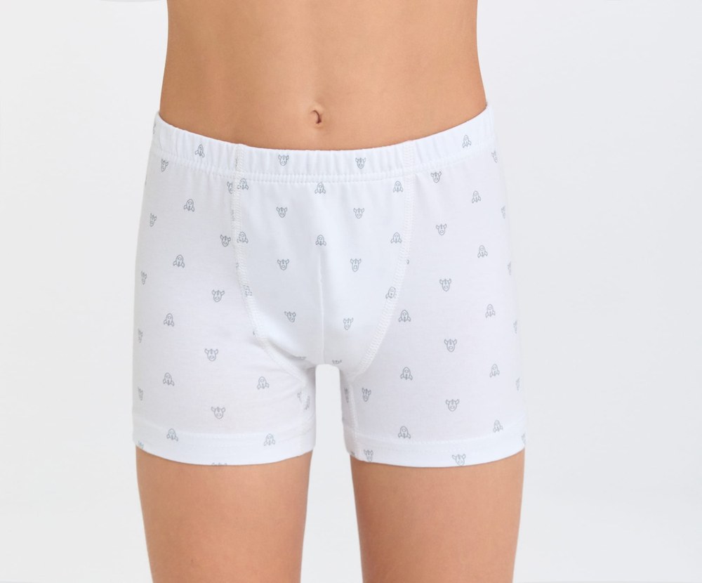 Berrak 5081 3'LÜ Erkek Çocuk Boxer