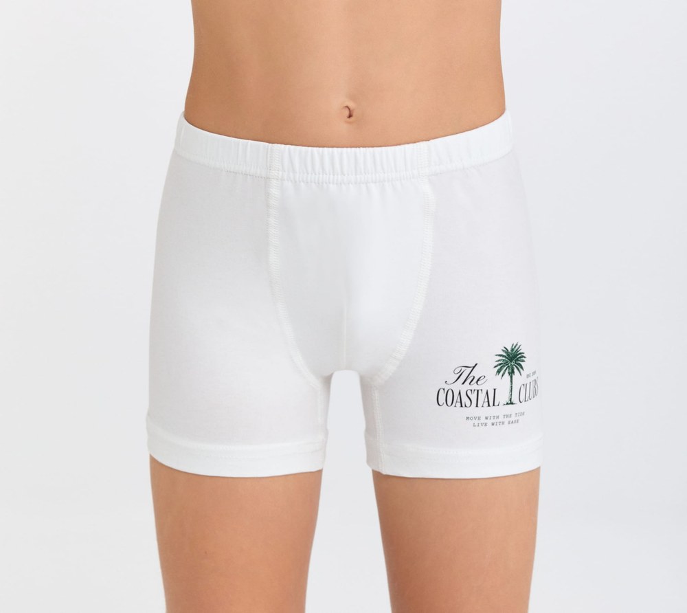 Berrak 5068 3'LÜ Erkek Çocuk Boxer