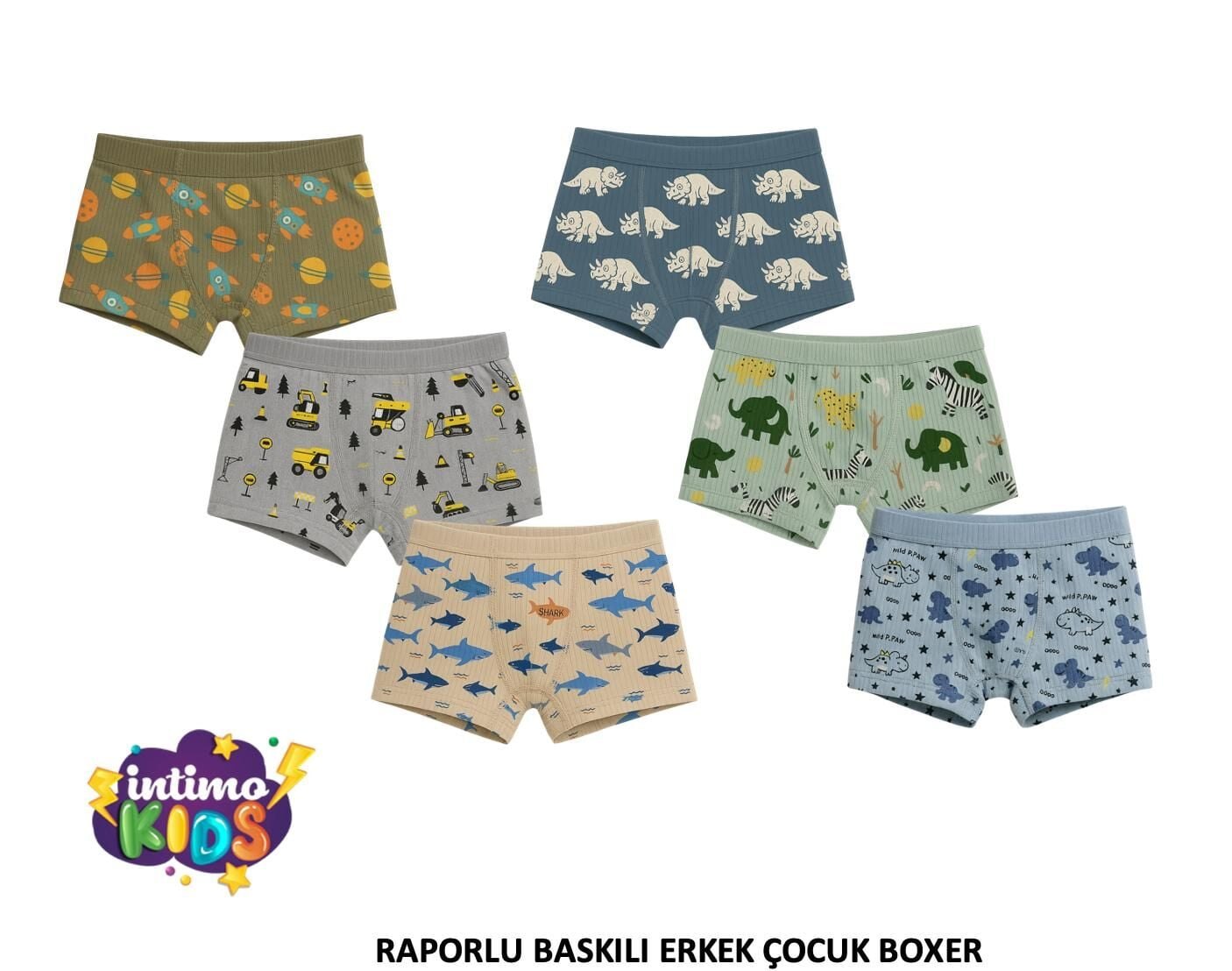İntimo 2522 Raporlu Baskılı Erkek Çocuk Boxer