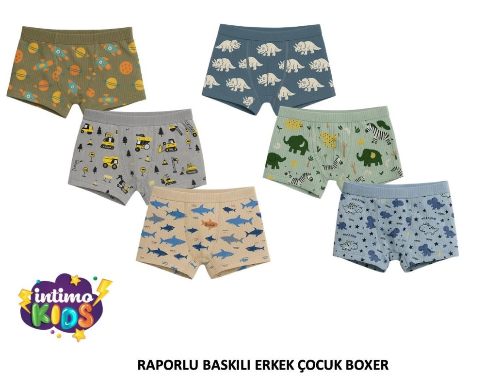 İntimo 2522 Raporlu Baskılı Erkek Çocuk Boxer