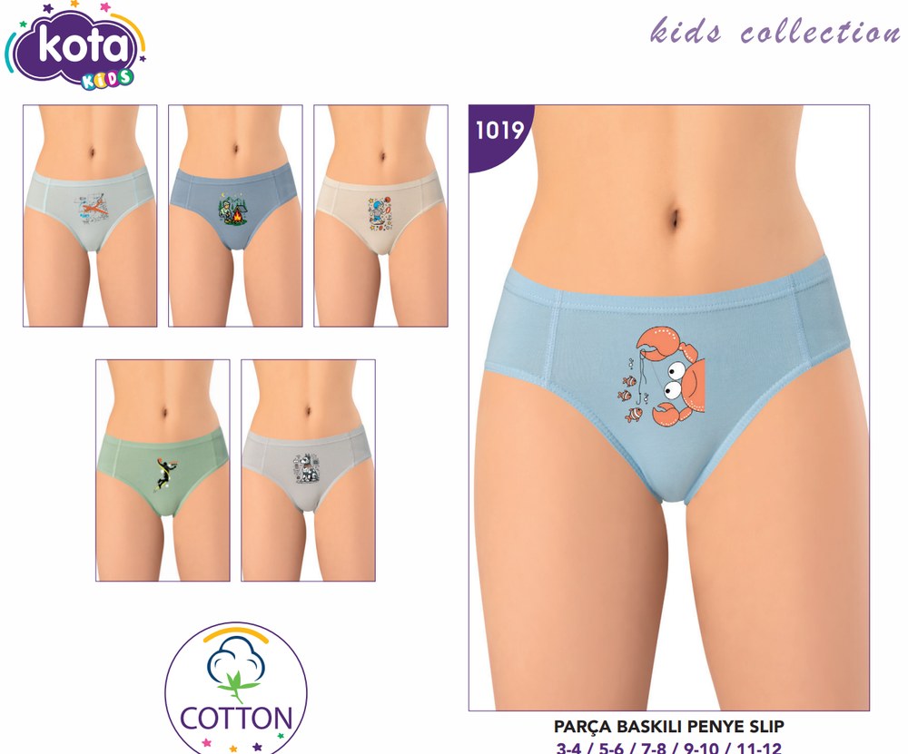 Erkek Çocuk Parça Baskılı Penye Slip