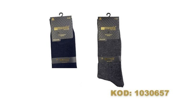 Mosaic 60100 Erkek Likralı Dikişsiz Çorap Lacivert