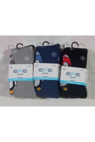 EFE KIZ ÇOCUK DESENLİ HAVLU KÜLOTLU ÇORAP ASORTİ