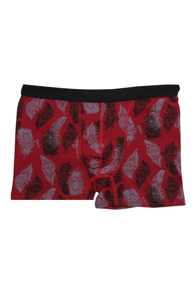 Menbox 3001 Erkek Desenli Çocuk Boxer
