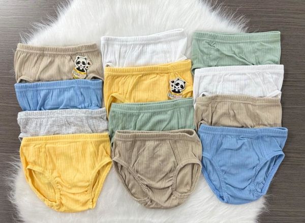 Panda Kiddo 407 Erkek Çocuk Derby Slip Asorti